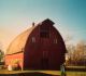 Minnesota Barn 1